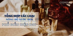 so sánh nước hoa edp và edt