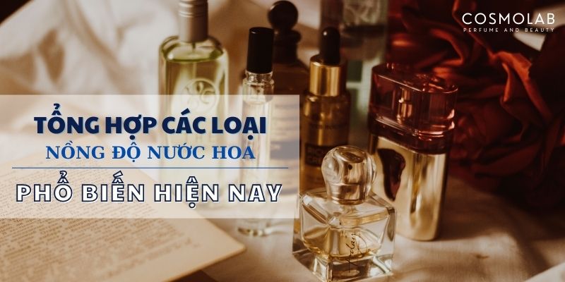 Nước hoa EDT và EDP là gì? Nên chọn nước hoa EDP hay EDT?